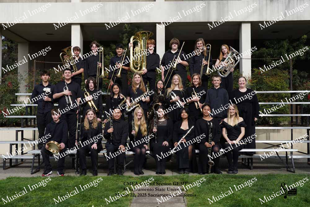 Musical Images